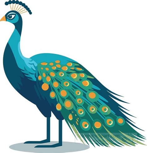 Bird Clipart-peacock shows off colorful tail feathers clip art