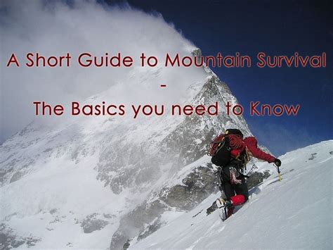 A Short Mountain Survival Guide: The Basics you need to Know | Survival, Survival guide, Outdoor ...