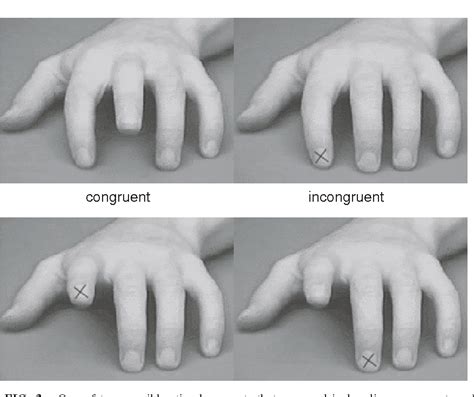 Figure 4 from Compatibility between Observed and Executed Finger Movements: Comparing Symbolic ...