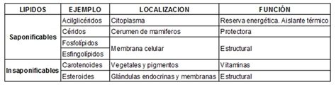 1. Cite las diferencias entre lípidos saponificables e insaponificables [0,5]. Indique los ...