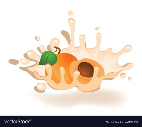 Apricot Royalty Free Vector Image - VectorStock