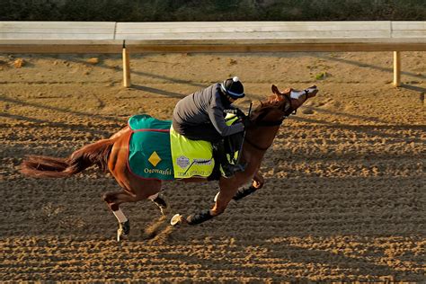 19 horses to tangle in wide-open 149th Kentucky Derby | Sports | EL ...