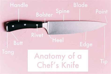 The Anatomy of a Chef’s Knife | Kitchn