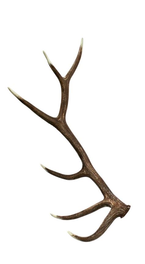 Elk Faux Antler | Cast Horn Designs