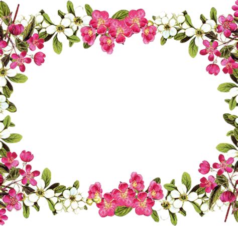 Free Flower Borders Svg Free Library Techflourish Collections - Flower Border Png Transparent ...