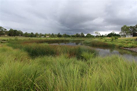 How to Design a Treatment Wetland - Stormwater Queensland