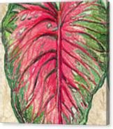 Leaf Drawing by Mindy Newman | Fine Art America