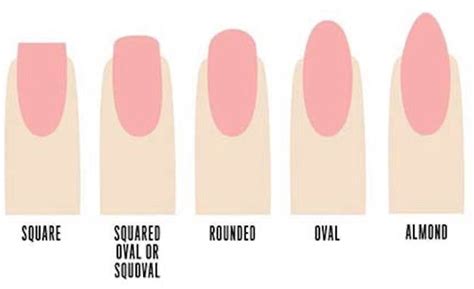 Nail Shapes Short Nails – 786 Cosmetics