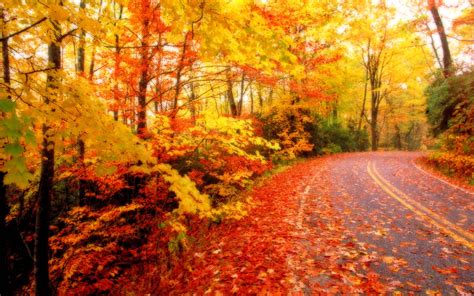 Fall Foliage Wallpapers For Desktop - Wallpaper Cave