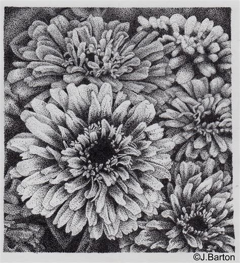 Stippled flowers pen drawing by Jenny Barton | Stippling art, Dotted ...