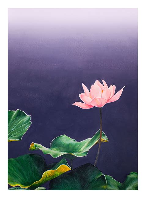 Lotus Flower Drawing Watercolor Painting - Broccoli | Lotus flower painting watercolors ...