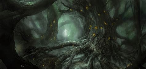 Dark Forest by mutiny-in-the-air on DeviantArt