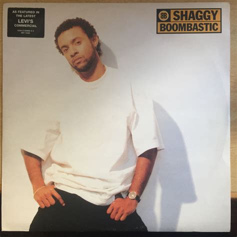 Shaggy - Boombastic (1995, Vinyl) | Discogs