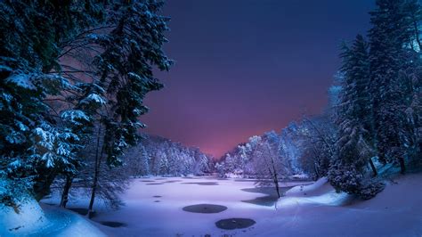 Snowy Forest at Night Wallpapers - Top Free Snowy Forest at Night Backgrounds - WallpaperAccess