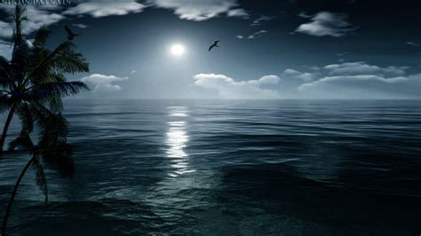 Ocean Night Sky Wallpapers - Top Free Ocean Night Sky Backgrounds ...