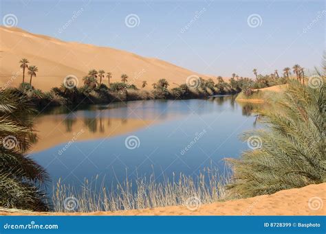 Oasis, Sahara Desert stock image. Image of palm, desert - 8728399