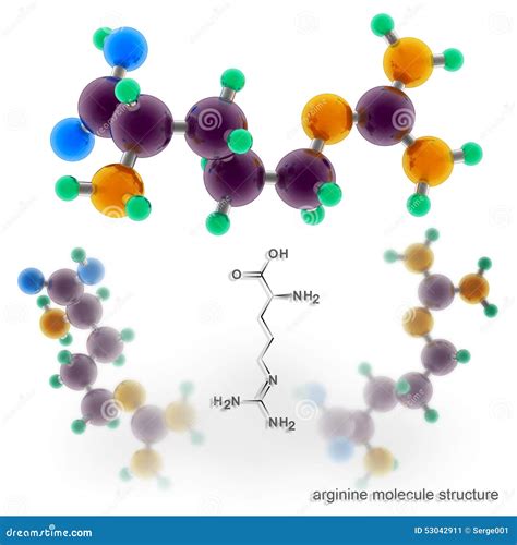 Arginine Molecule Structure Stock Illustration - Image: 53042911