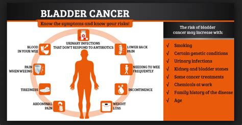 Bladder Cancer: Causes, Symptoms, And Treatments