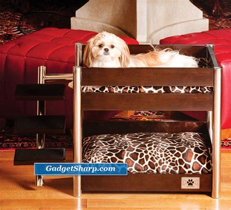 8 Cool and Modern Pet Furniture Designs – Gadget Sharp