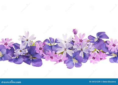 28,370 Purple Spring Flower Border Stock Photos - Free & Royalty-Free Stock Photos from Dreamstime