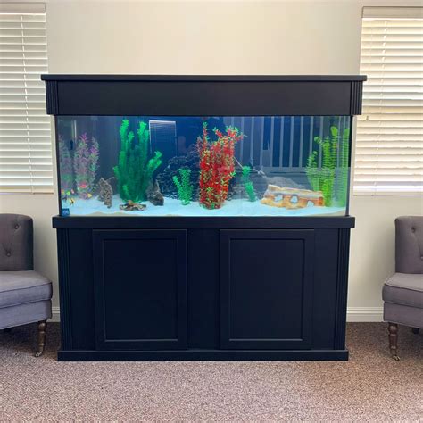 100 Gallon Freshwater Aquarium – Aquarium Installation and Maintenance Services Thousand Oaks CA