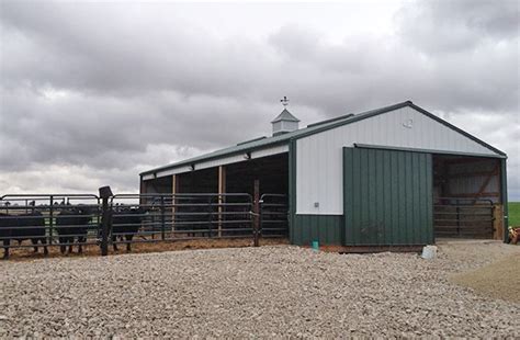 46 Best Barn designs for beef cattle Trend in 2021 | In Design Pictures