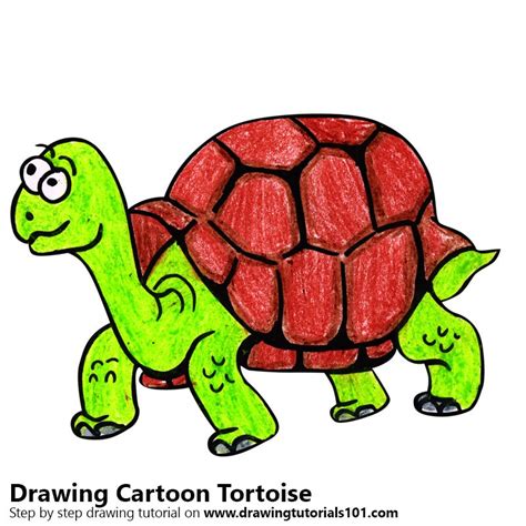 Cartoon Tortoise Colored Pencils - Drawing Cartoon Tortoise with Color Pencils ...