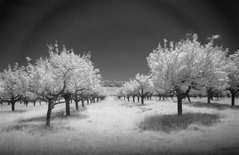 InfraRed on Behance