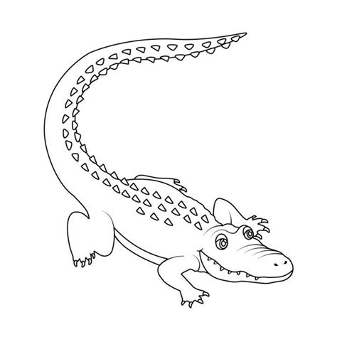 Alligator Drawing Easy