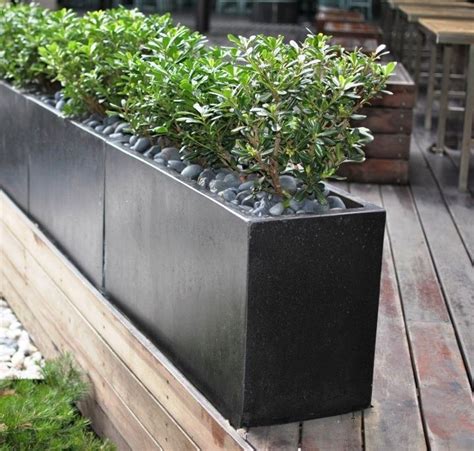 20+ Tall Concrete Outdoor Planters