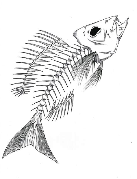 Fish Skeleton by Shadow-wolves666 on DeviantArt