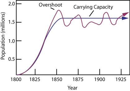 What is population dynamics? | Socratic