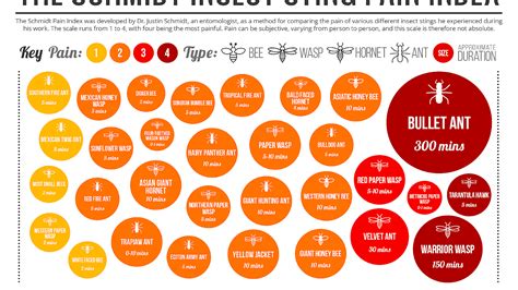 Schmidt sting pain index - Index Choices