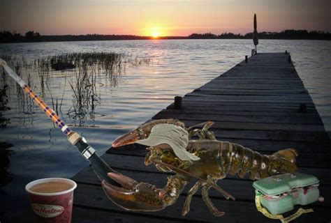 Lobster fishing season opens today in New Brunswick, lobsters thrilled – The Manatee