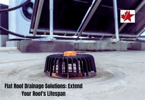 Flat Roof Drainage Solutions: Extend Your Roof's Lifespan