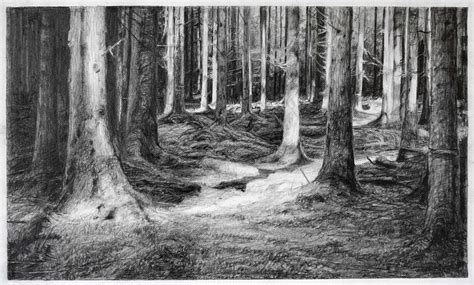 Drawing Of The Woods at PaintingValley.com | Explore collection of Drawing Of The Woods