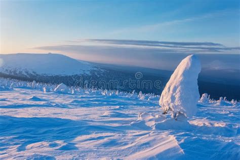 Frost on the Northern Ural Mountains, Komi Republic, Russia Stock Image ...