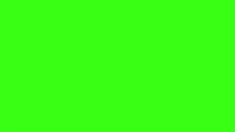 Lime Green Backgrounds (54+ images)