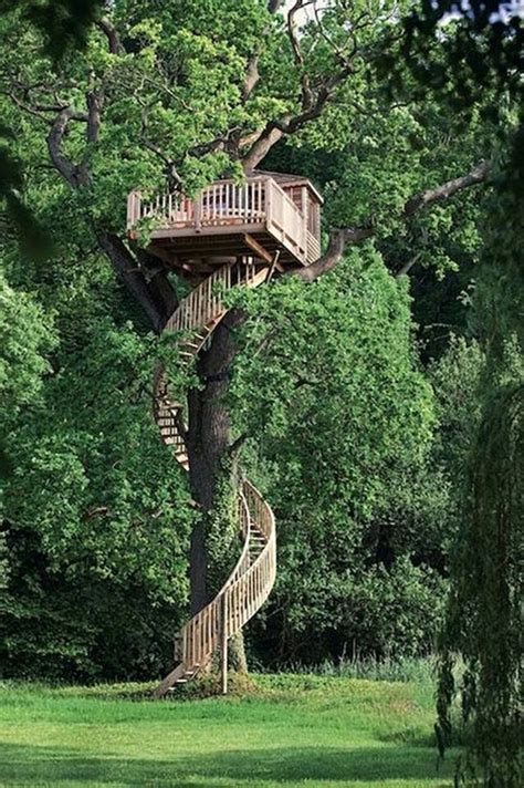 More ideas below: Amazing Tiny treehouse kids Architecture Modern Luxury treehouse interior cozy ...