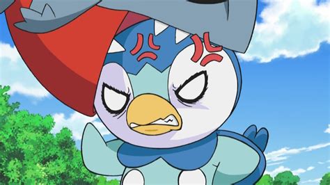 HQ Angry Piplup : r/piplup