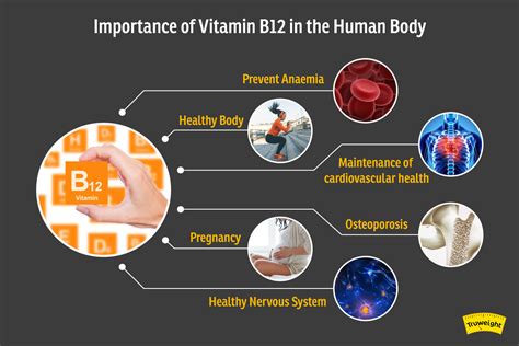 Importance of Vitamin B12 | Vitamin B12 Deficiency Symptoms | Possible