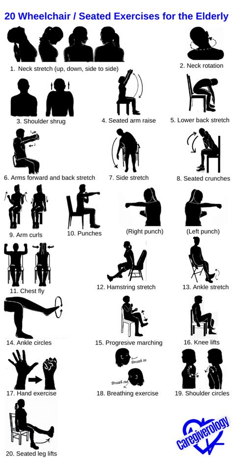 20 Wheelchair / Seated Exercises for the Elderly - Caregiverology