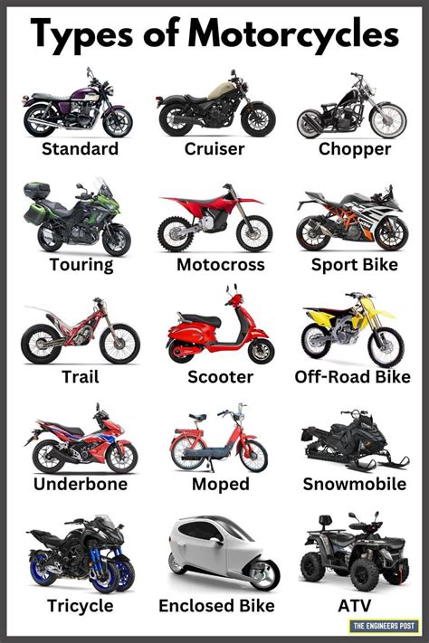 15 Types of Motorcycles- Know Your Options | Daily Infographic