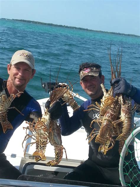 Lobster Season is Back! | Coastal Angler & The Angler Magazine