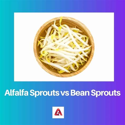 Alfalfa vs Bean Sprouts: Difference and Comparison