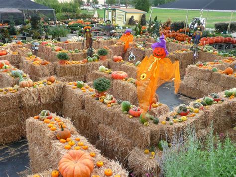 Fall festival to feature hayride, maze, petting zoo | Blue Ribbon News