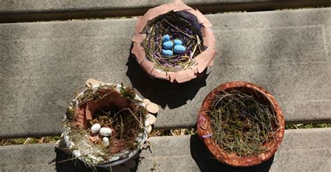 DIY Bird Nests | Kaplan Early Learning Company