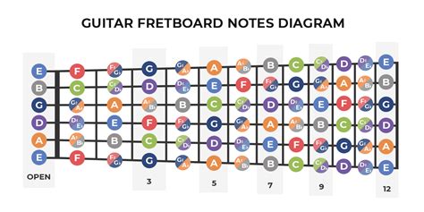 Guitar Notes For Beginners: Everything You Need To Know