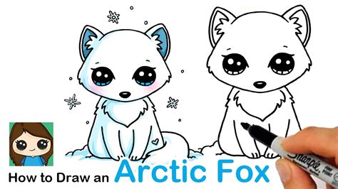 How to Draw an Arctic Fox Easy