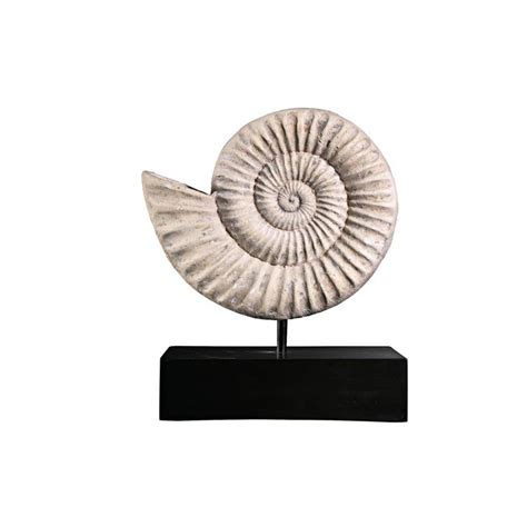 Ammonite Fossil Sculpture on Museum Mount - NE100505 - Design Toscano